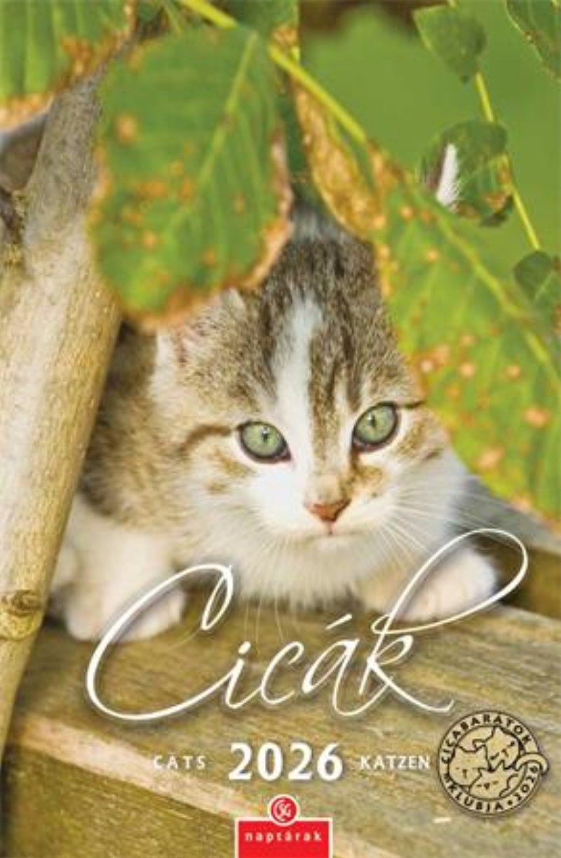 Naptár fali CSG 2026 Cicák