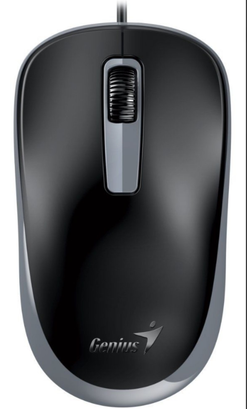 Egér Genius DX-125S Silent Mouse Black/Grey