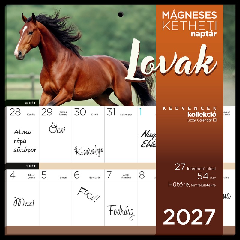Naptár fali Lizzy Calendar 2027 Mágneses 
