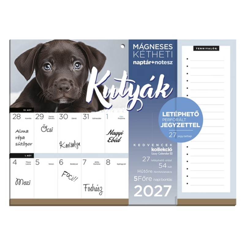Naptár fali Lizzy Calendar 2027 Mágneses 